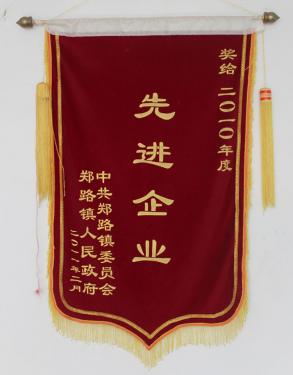 2010年度先進企業(yè)